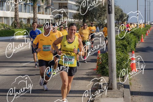 Puma Medio Maratón De Viña Del Mar 2024