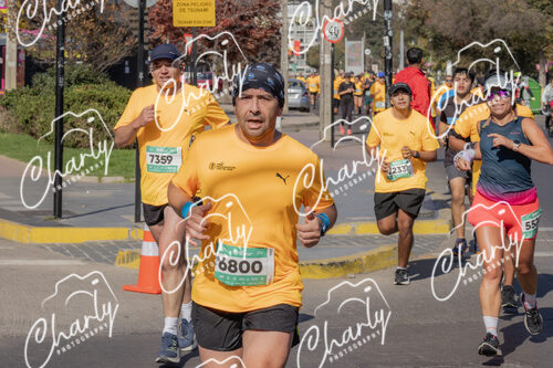 Puma Medio Maratón De Viña Del Mar 2024