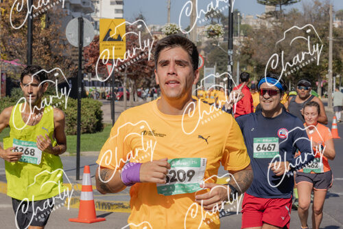 Puma Medio Maratón De Viña Del Mar 2024