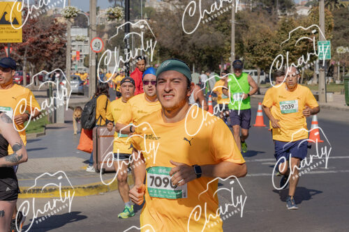 Puma Medio Maratón De Viña Del Mar 2024