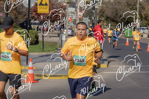 Puma Medio Maratón De Viña Del Mar 2024