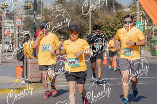Puma Medio Maratón De Viña Del Mar 2024