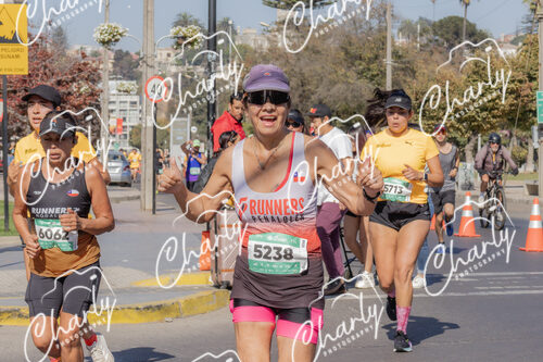 Puma Medio Maratón De Viña Del Mar 2024