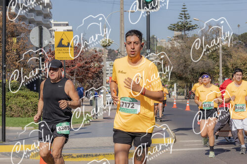 Puma Medio Maratón De Viña Del Mar 2024