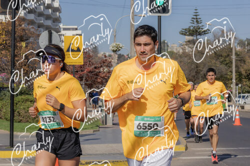 Puma Medio Maratón De Viña Del Mar 2024