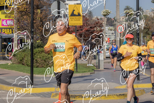 Puma Medio Maratón De Viña Del Mar 2024