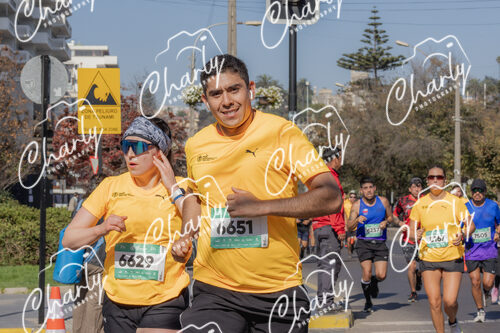 Puma Medio Maratón De Viña Del Mar 2024
