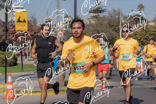 Puma Medio Maratón De Viña Del Mar 2024