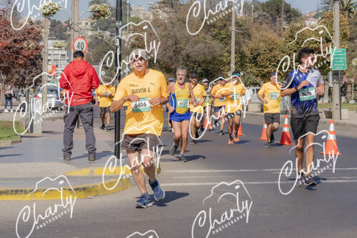 Puma Medio Maratón De Viña Del Mar 2024