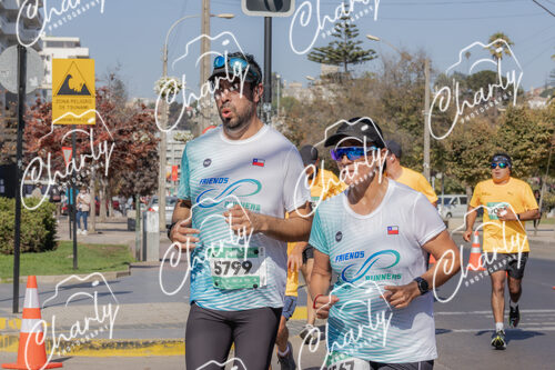 Puma Medio Maratón De Viña Del Mar 2024