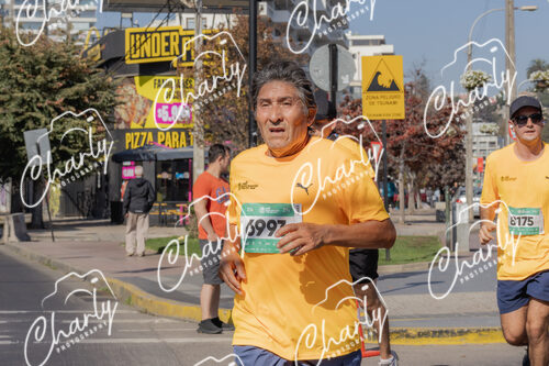 Puma Medio Maratón De Viña Del Mar 2024