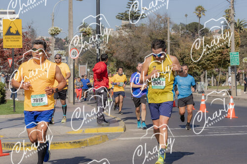 Puma Medio Maratón De Viña Del Mar 2024