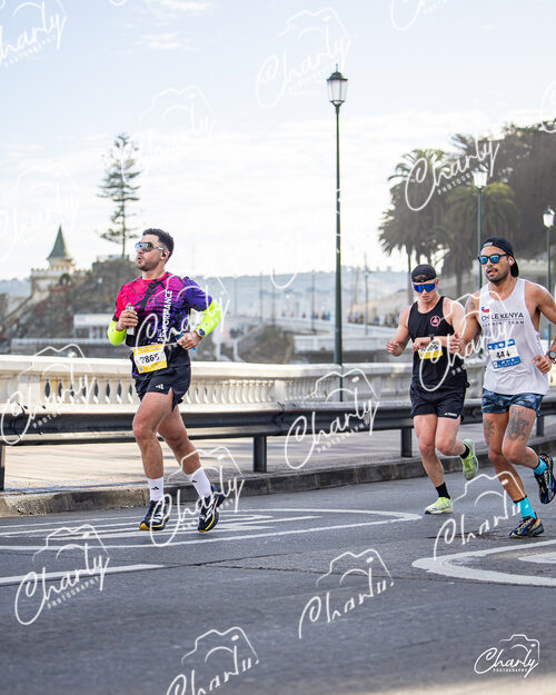 Maratón de Viña del Mar 2025