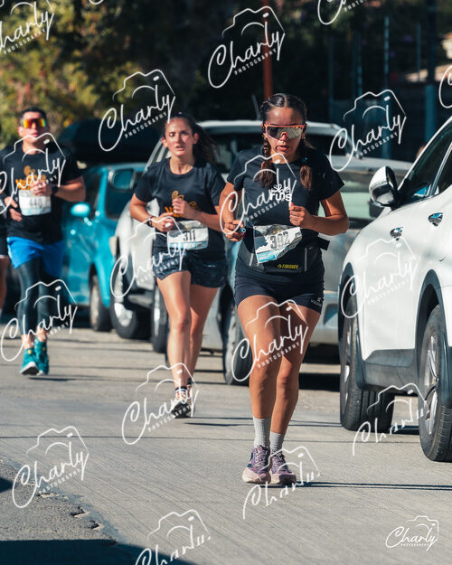 Media Maratón Villa Alemana