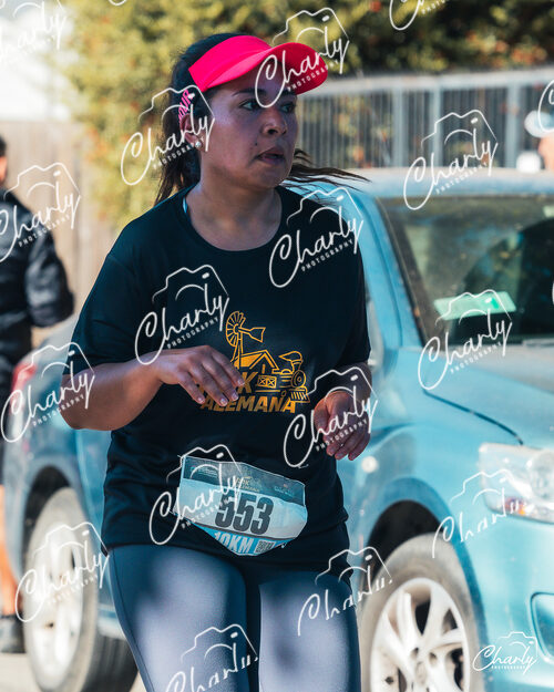 Media Maratón Villa Alemana