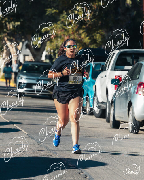 Media Maratón Villa Alemana