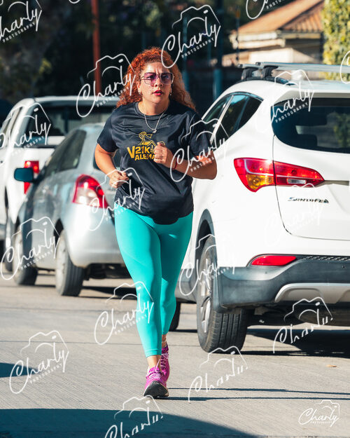 Media Maratón Villa Alemana