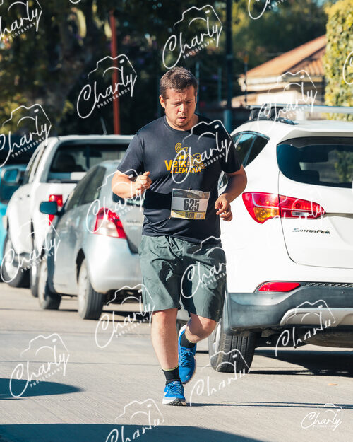 Media Maratón Villa Alemana