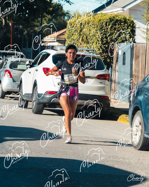 Media Maratón Villa Alemana