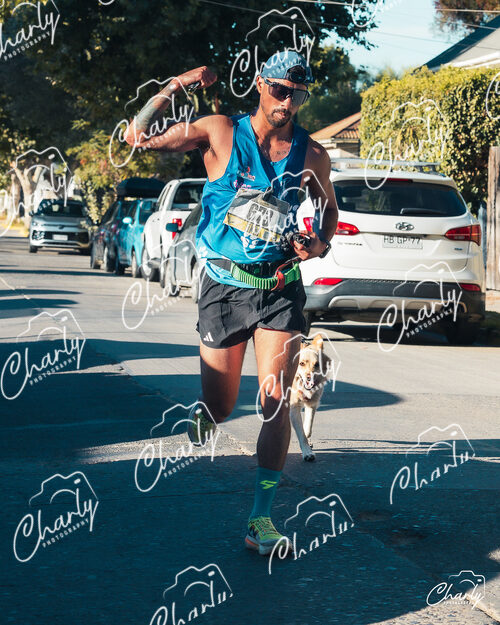 Media Maratón Villa Alemana