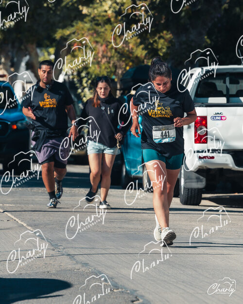 Media Maratón Villa Alemana