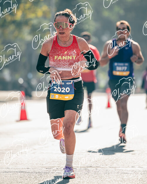 Maratón De Santiago 2026