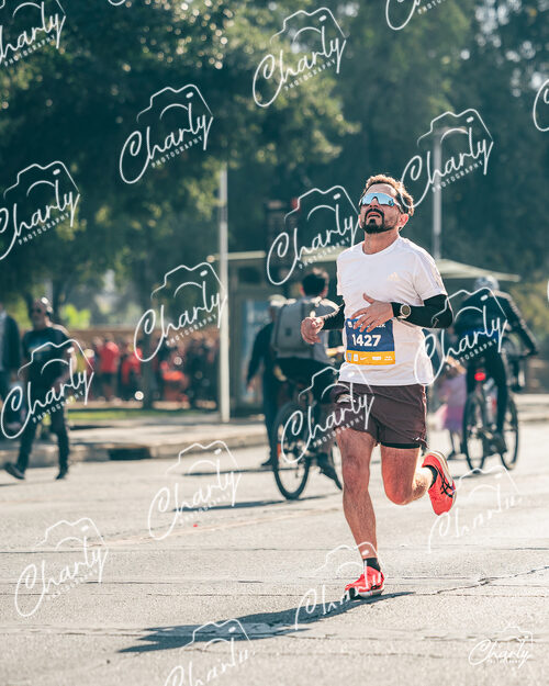Maratón De Santiago 2026