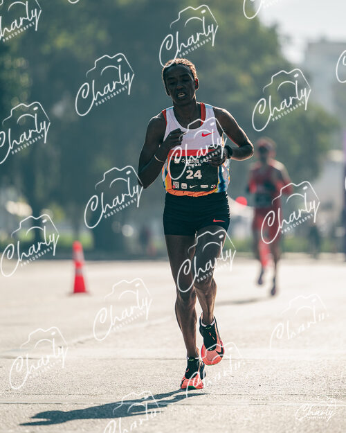 Maratón De Santiago 2026
