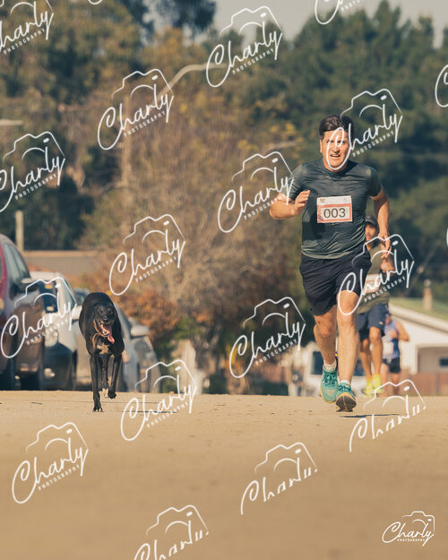 Quintay Corrida Mes Del Mar