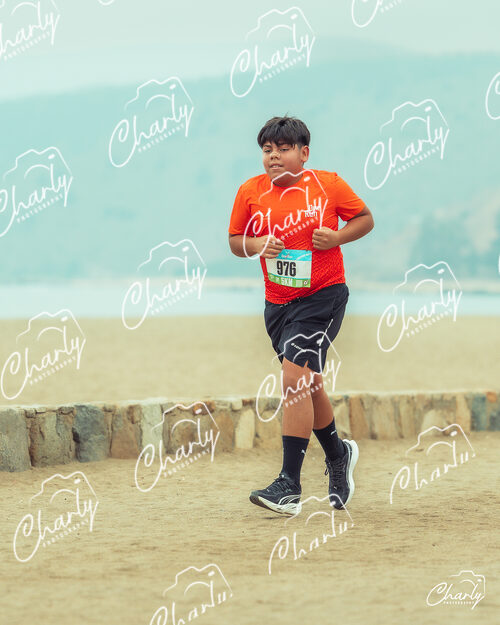 One Run Chile