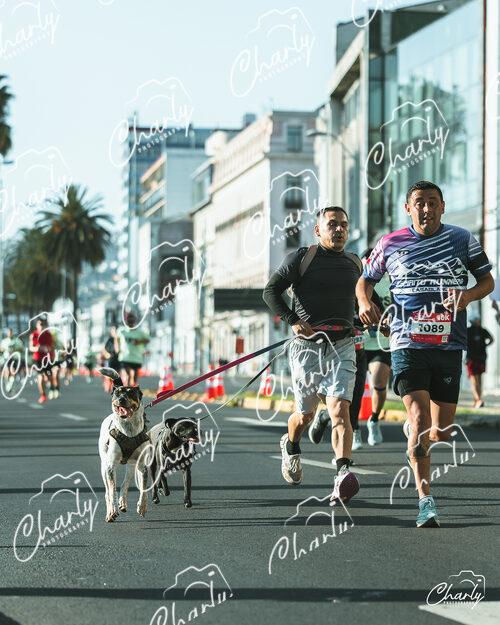 Medio Maraton TPS 2026