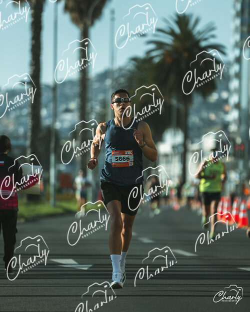 Medio Maraton TPS 2026