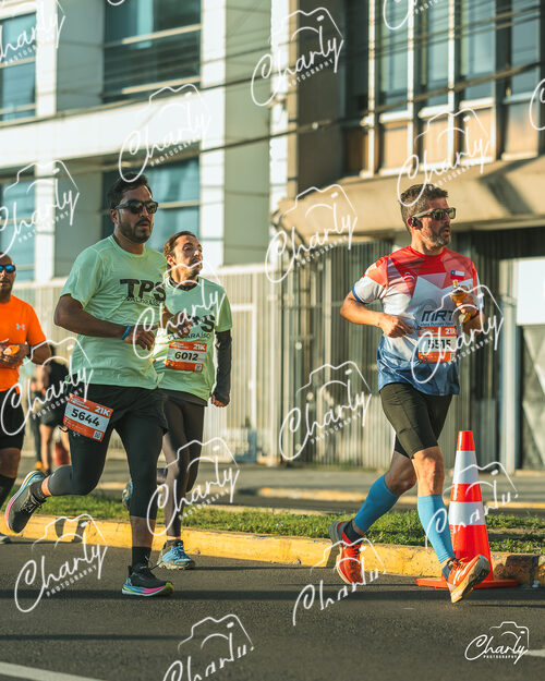 Medio Maraton TPS 2026