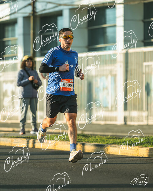 Medio Maraton TPS 2026