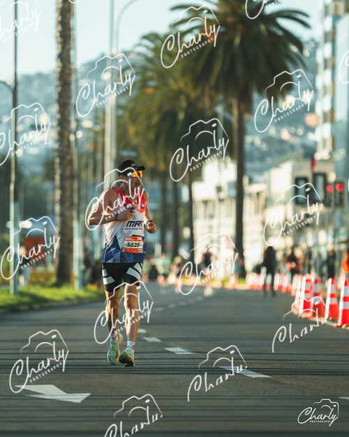 Medio Maraton TPS 2026