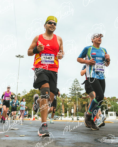 Maratón Viña del Mar 2026