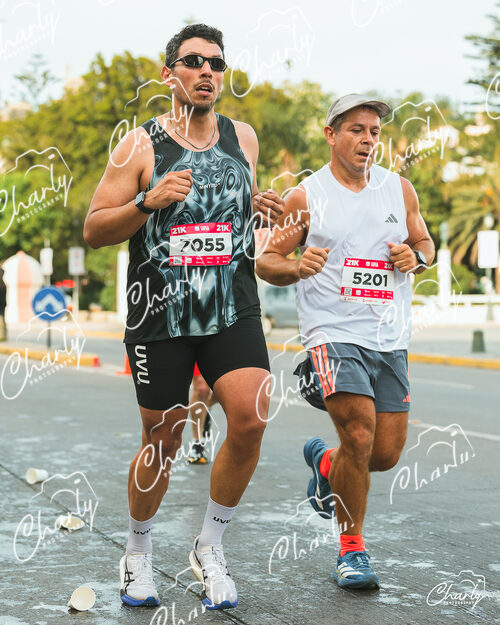 Maratón Viña del Mar 2026