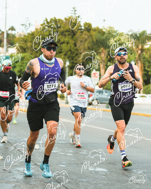 Maratón Viña del Mar 2026
