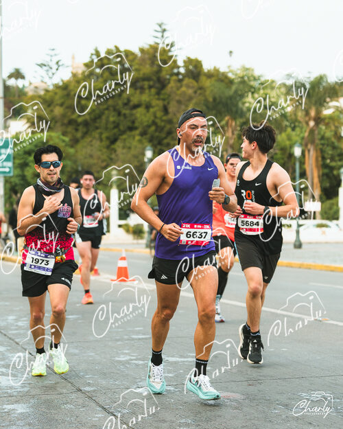 Maratón Viña del Mar 2026