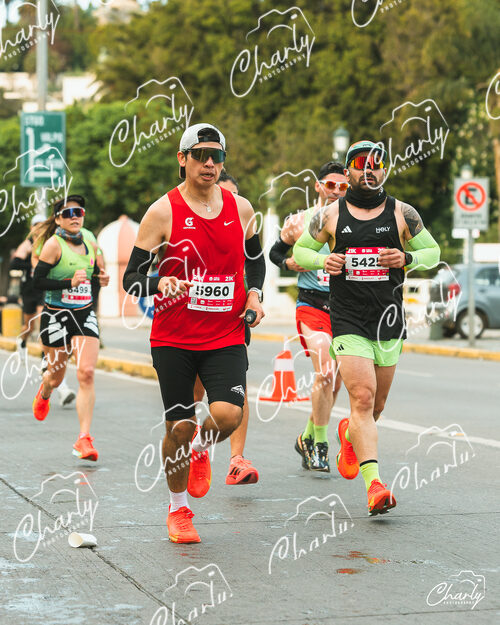Maratón Viña del Mar 2026