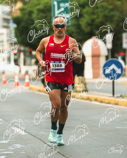 Maratón Viña del Mar 2026