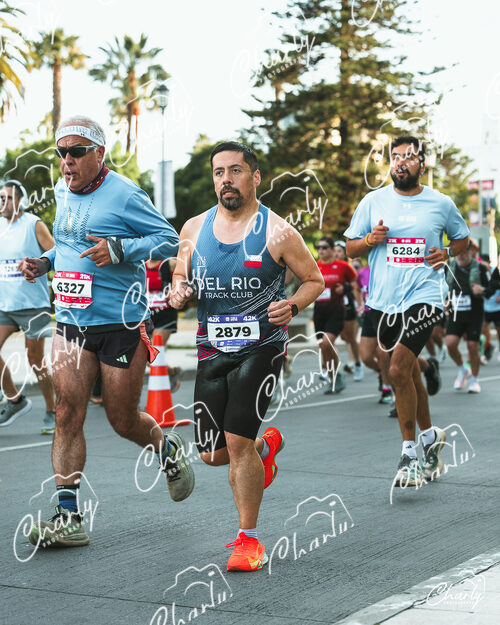 Maratón Viña del Mar 2026