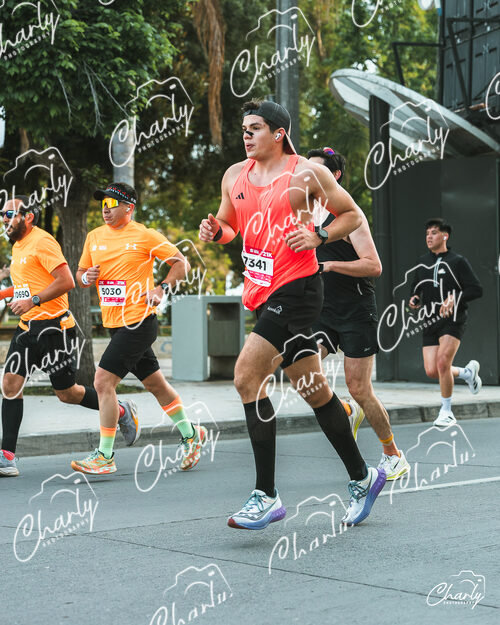 Maratón Viña del Mar 2026