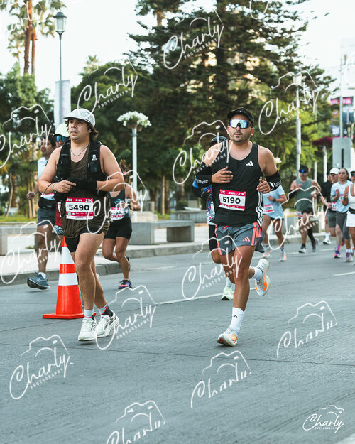 Maratón Viña del Mar 2026