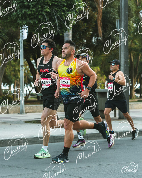 Maratón Viña del Mar 2026