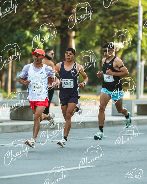 Maratón Viña del Mar 2026