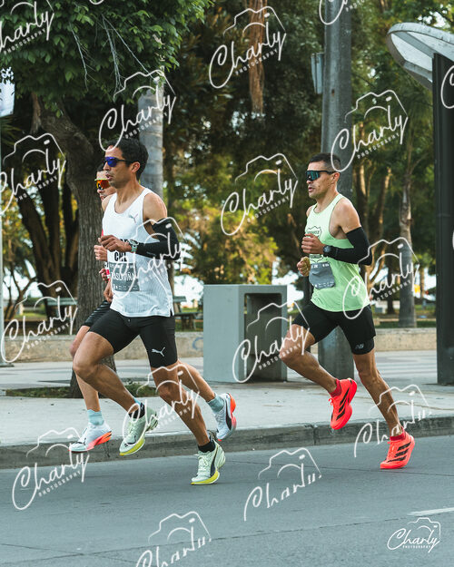 Maratón Viña del Mar 2026