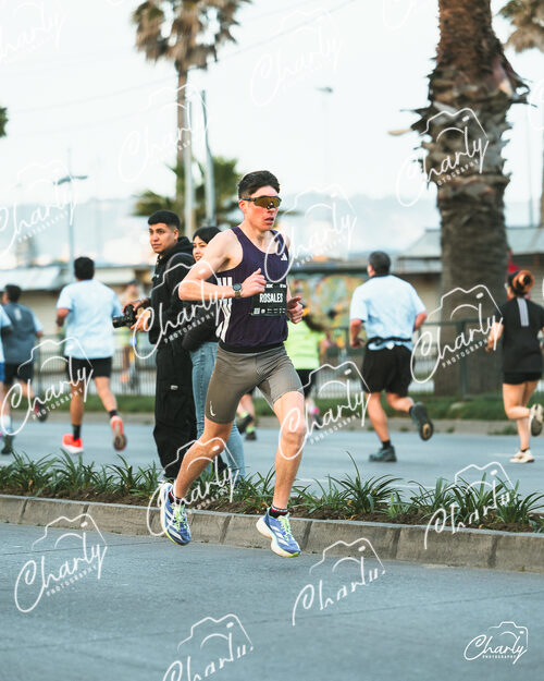 Maratón Viña del Mar 2026